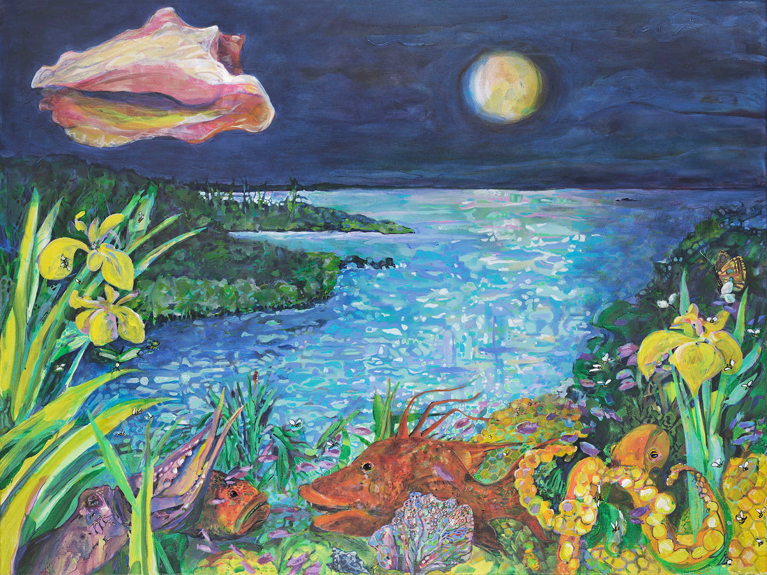 Octopuses' Garden image 0