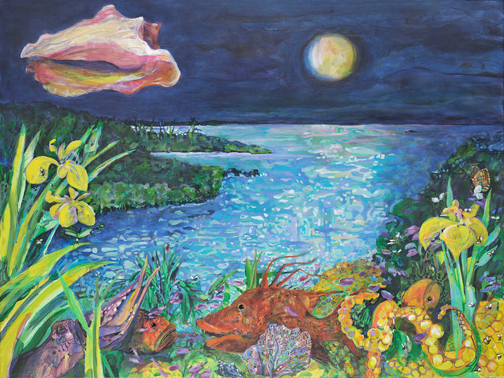 Octopuses' Garden image 0