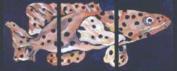 Panther Grouper Triptych image 0