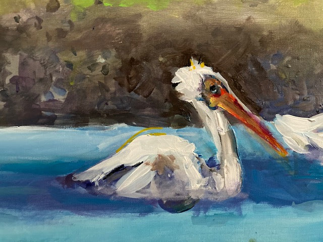 White Pelicans image 2