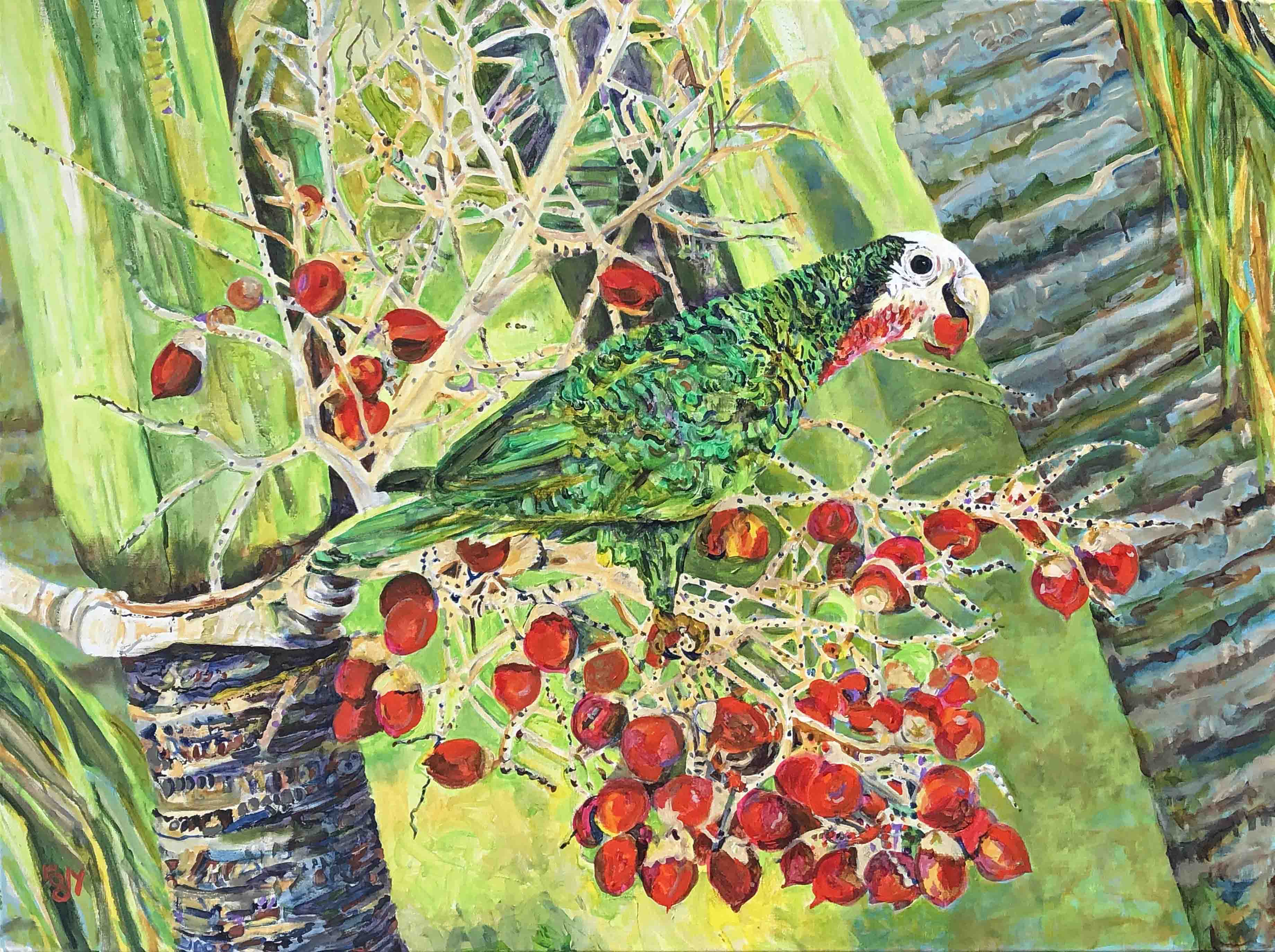 Lorraine's Abaco Parrot image 0