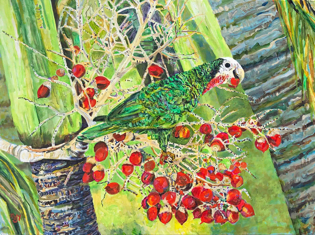 Lorraine's Abaco Parrot image 0