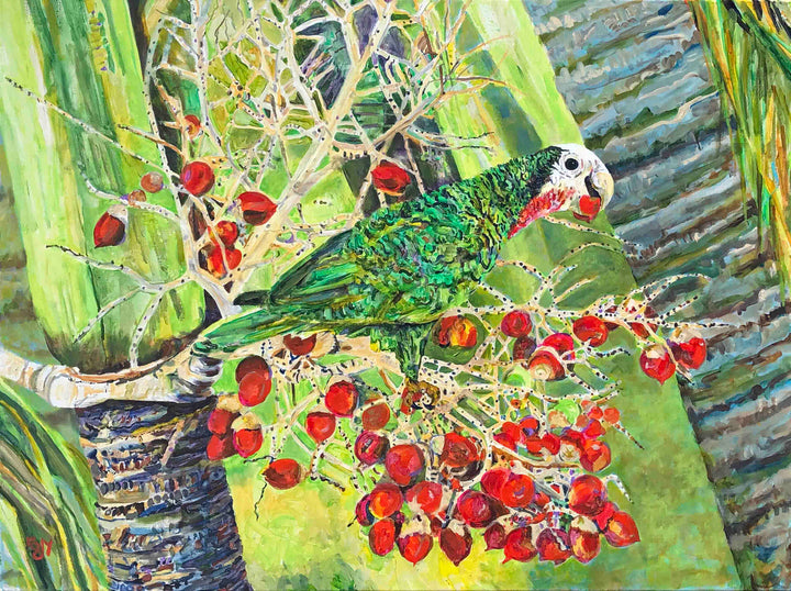 Lorraine's Abaco Parrot image 0