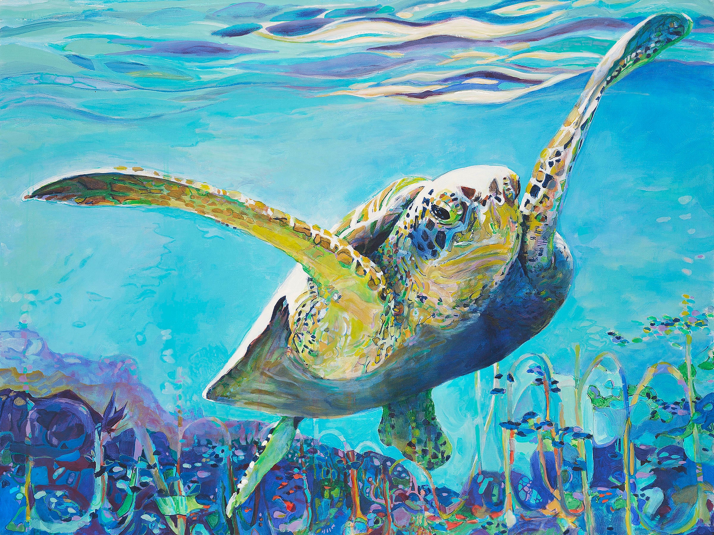 Bahamaland image 0