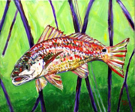 Redfish from Key Largo