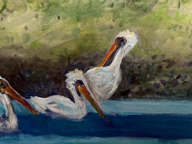 White Pelicans image 1