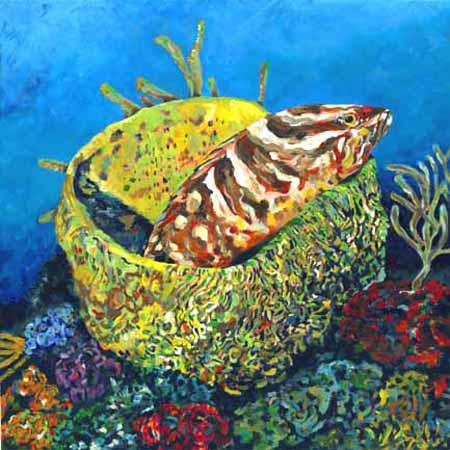 Grouper in a Basket image 0